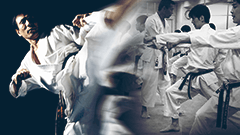 Karate/Judo/Sumo