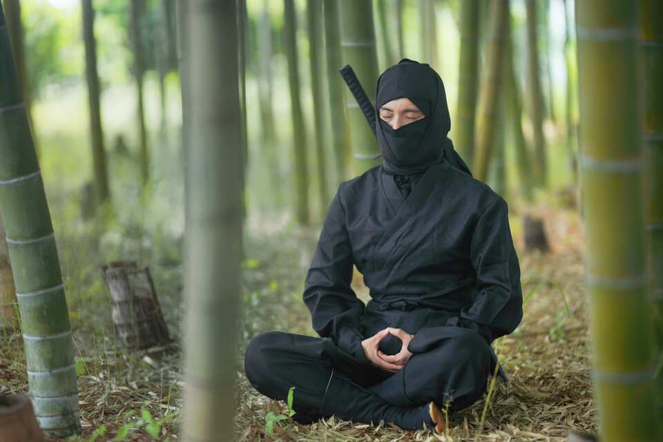以《火影忍者》为主题的展览,通过动漫展示风靡全球的忍者文化。