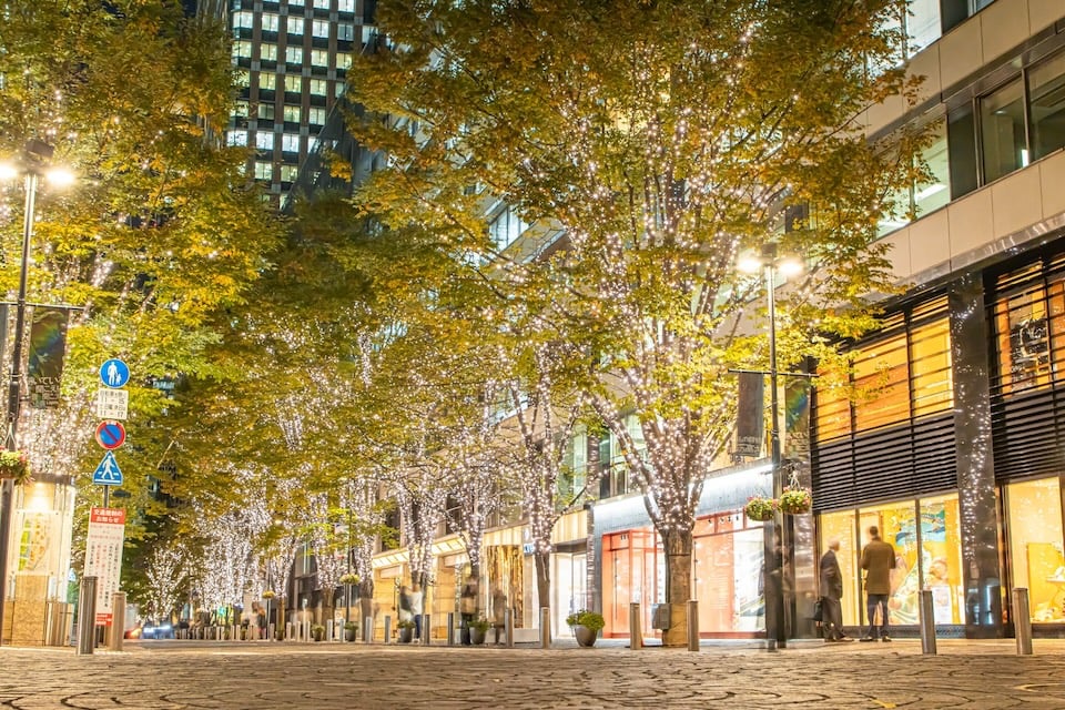 Marunouchi Nakadori Avenue