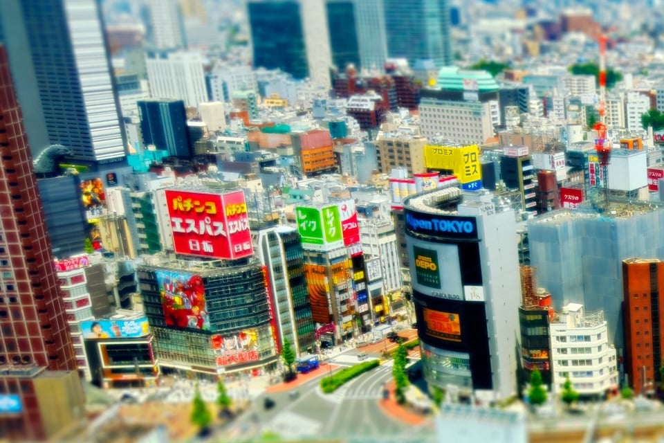 miniature photograph