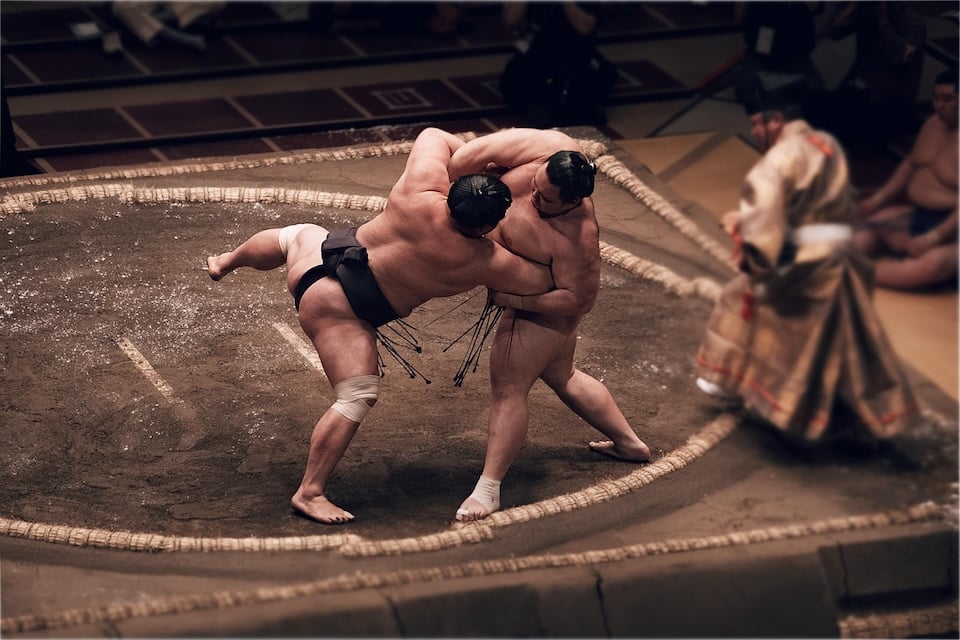 Sumo Initiatives
