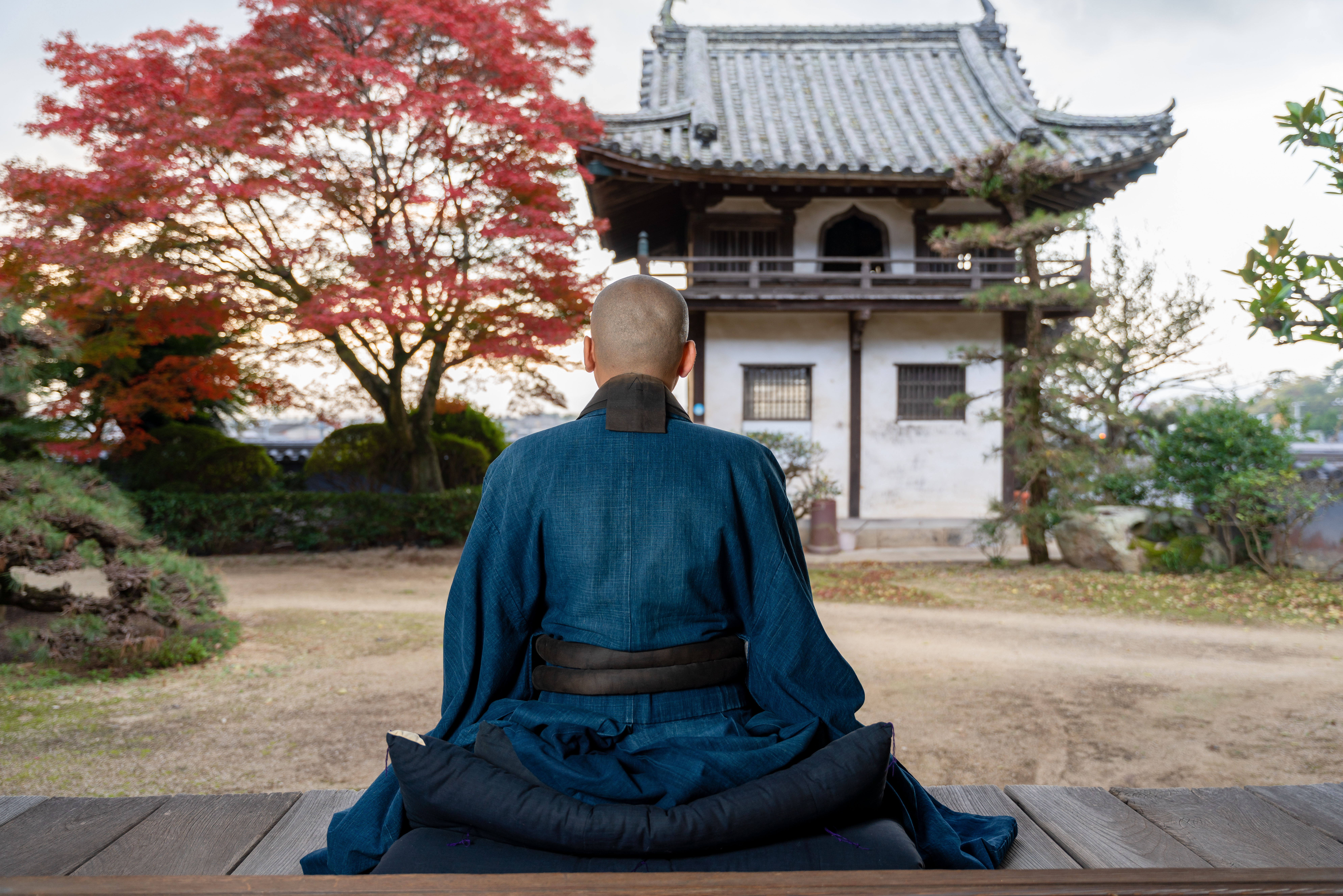 座禅の歴史|鎌倉時代に伝わり、現代の若者・外国人に注目されるまで