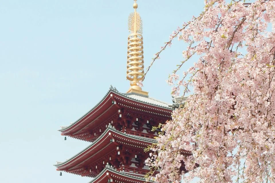 日本のポップカルチャーと伝統文化の違い