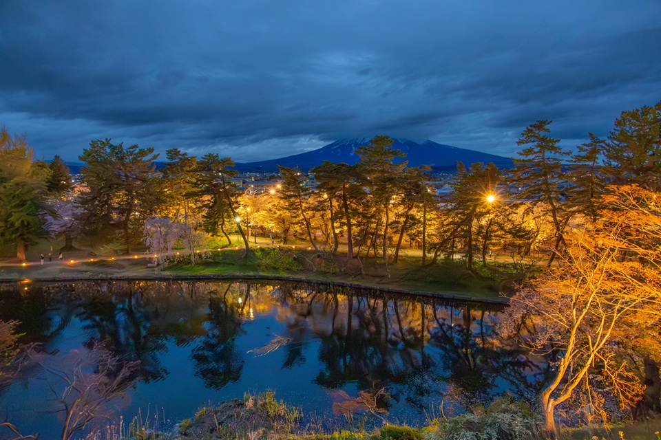 Luxury & Incentive Travel Experiences During Sakura Season