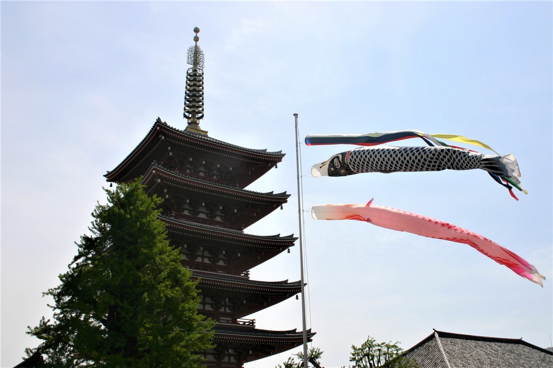 浅草寺のこいのぼり