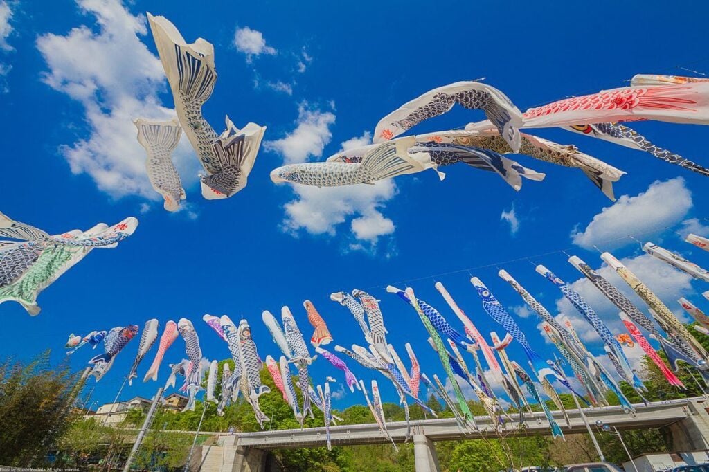 横瀬町こいのぼり