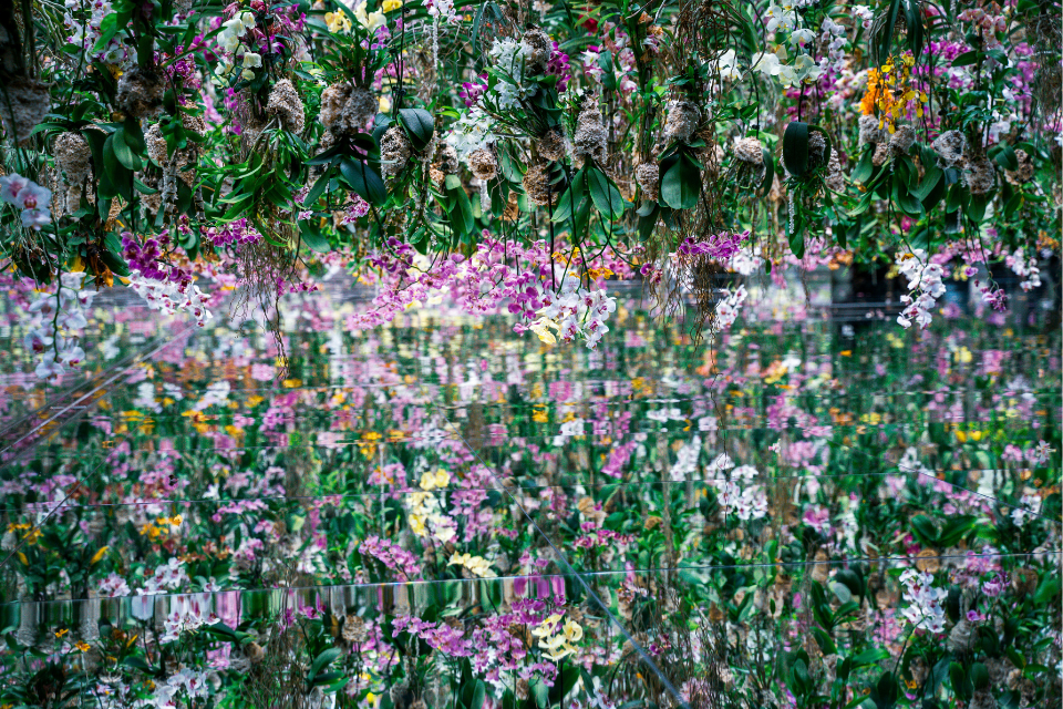 TeamLab 行星。