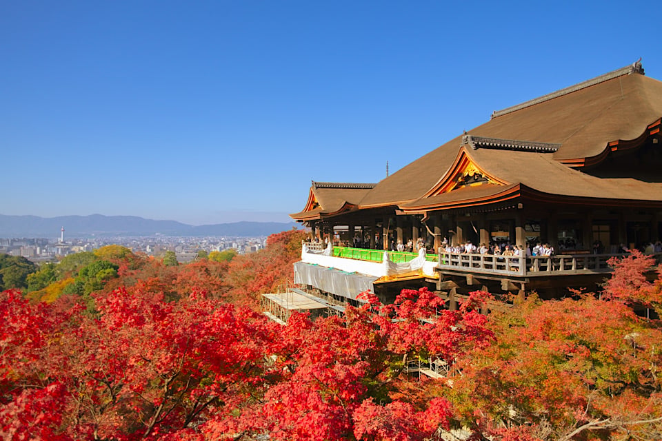 インセンティブ旅行：京都
