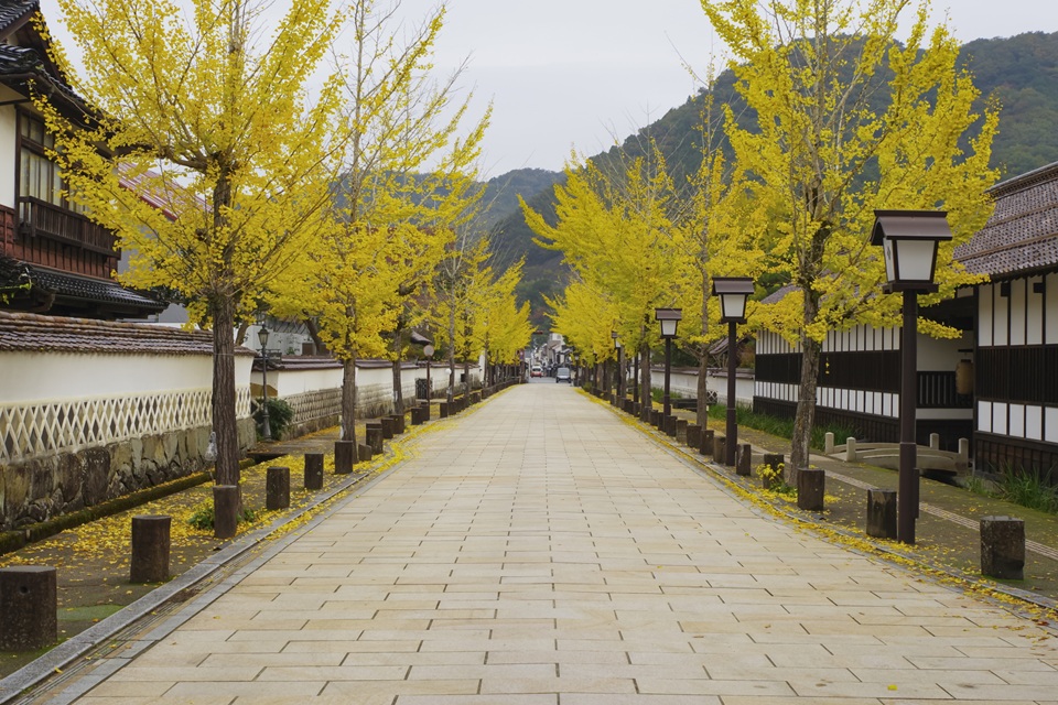 津和野・殿町通り