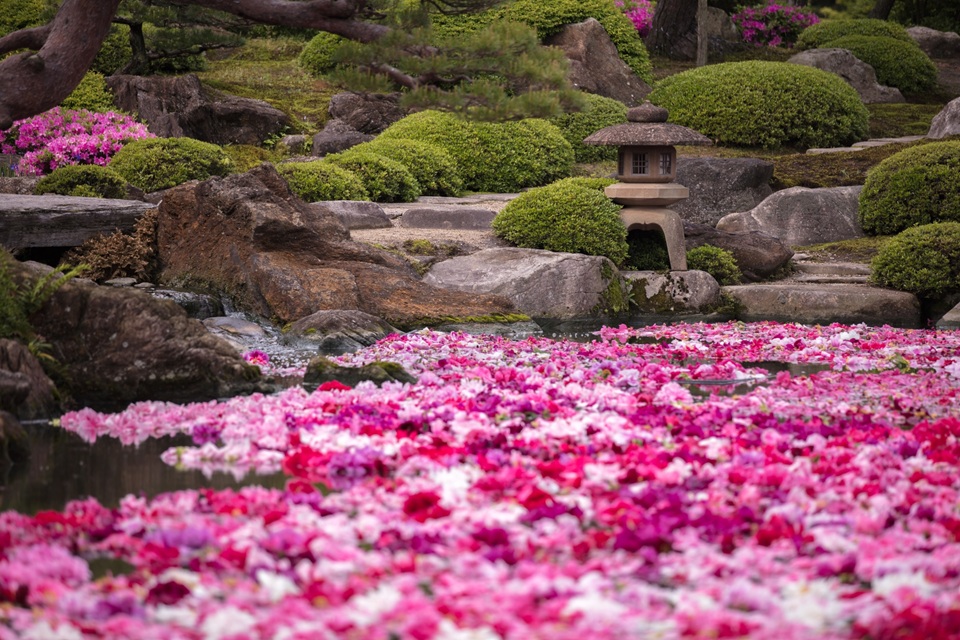 由志園