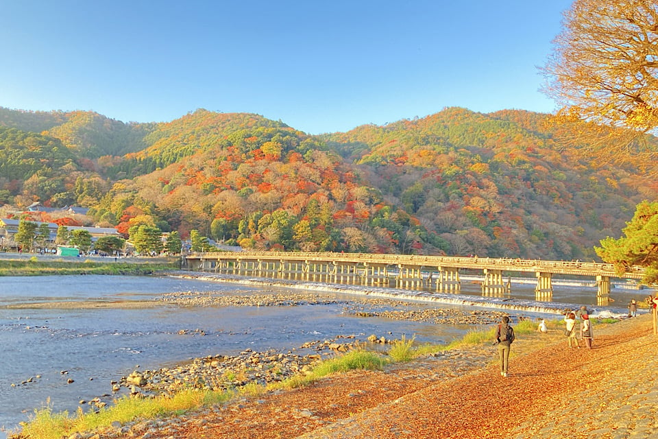 法人旅行：嵐山